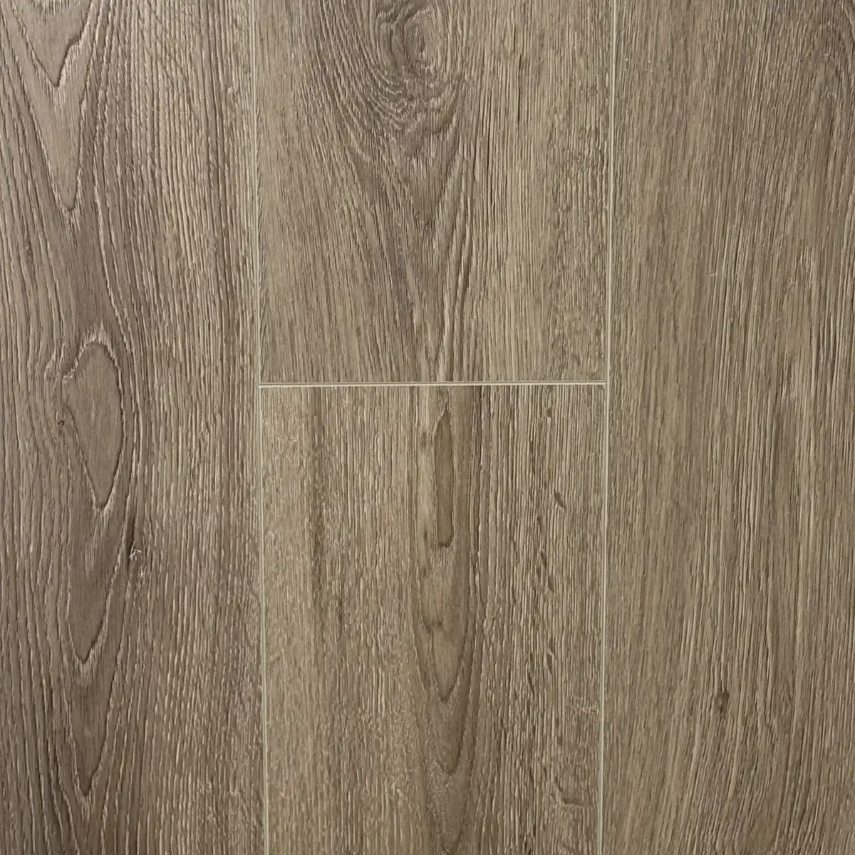 Дуб Колумб AQ-11